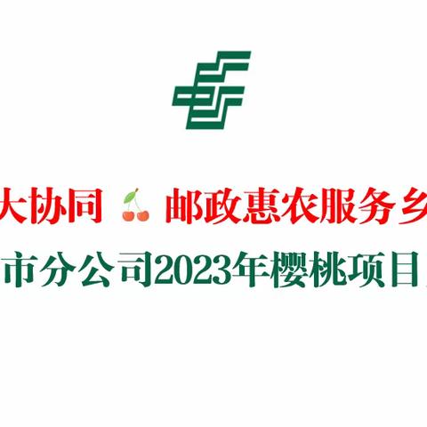 小樱桃大协同🍒邮政惠农服务乡村振兴——延安市分公司2023年樱桃项目启动