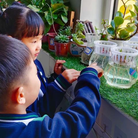 【唐山五幼】中二班周分享活动《根的秘密》