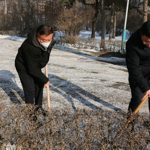 【市人民医院】扫雪除冰在行动 美化院区显文明