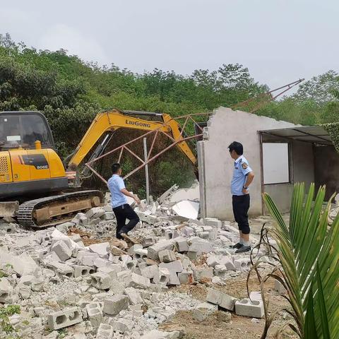 文儒镇持续推进森林图斑整改工作