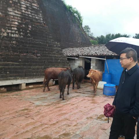 星星之火可以燎原——为残疾人解困