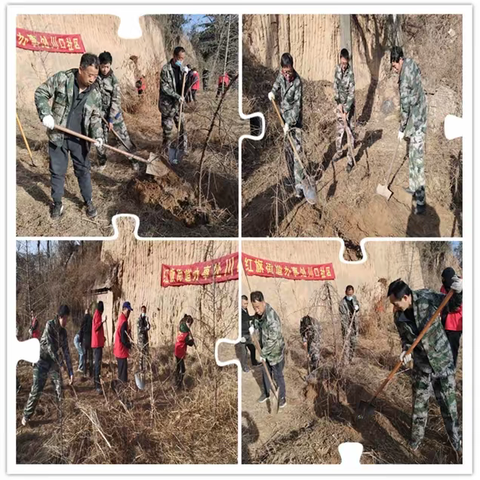 老兵添新绿  不负好春光
