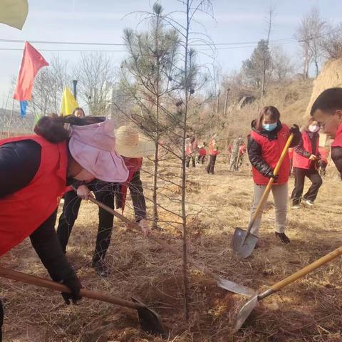 种一棵小树  绿一方净土——川口社区人大代表联络站植树节活动
