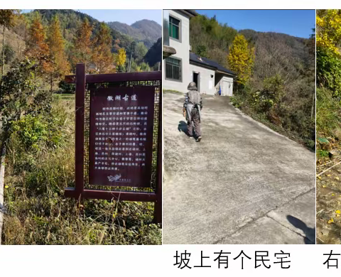 行走在徽湖古道，再读《董岭水》