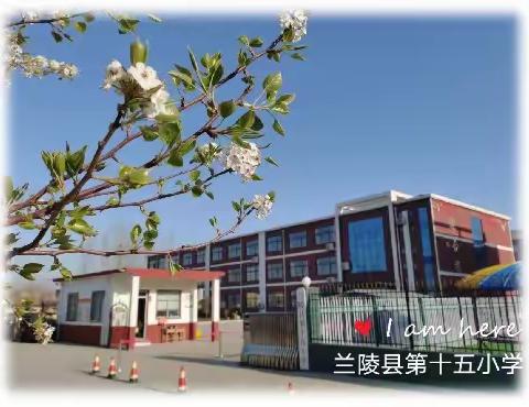 兰陵县第十五小学2024年义务教育招生入学报名指南