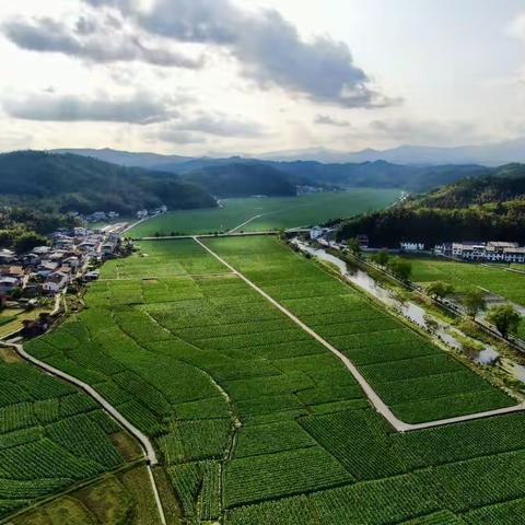 泰宁：深化环保网格监管，守护青山绿水
