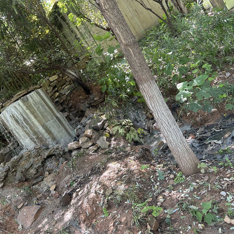 历下区水务局三策并施截污清流