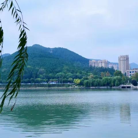 历下区孟家水库成功入选济南市美丽幸福河湖