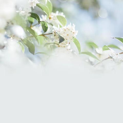 时光恰好 浅秋相见——留盆镇中心学校2023年秋季开学须知