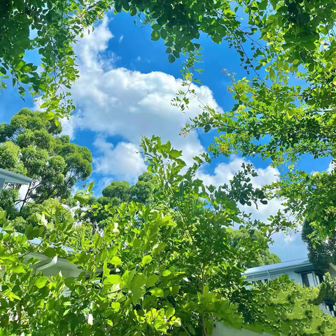 城南雅筑2024年第二季度服务简报