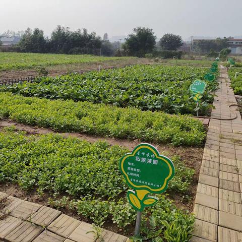 此处风景独好