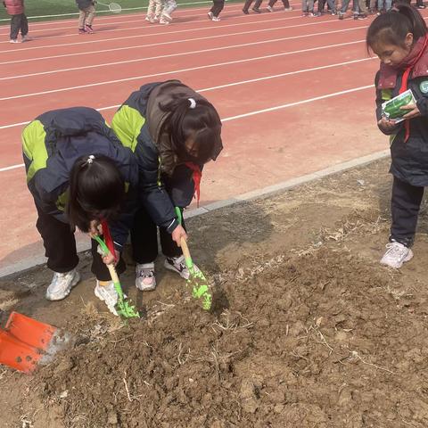 与绿相伴 向美而行----宿豫区第一实验小学植树节活动