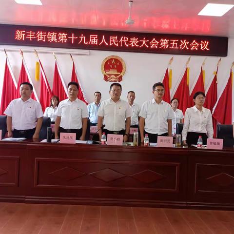 新丰街镇第十九届人民代表大会 第五次会议胜利召开