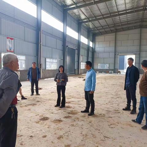新丰街镇人大开展民生实事项目视察调研活动