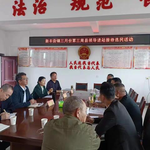 县人大常委会党组书记、主任章燕萍走进新丰街镇人大代表联络站集中接待选民