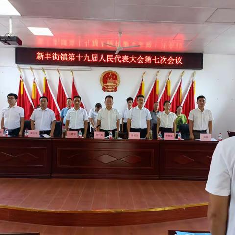新丰街镇第十九届人民代表大会 第七次会议胜利召开