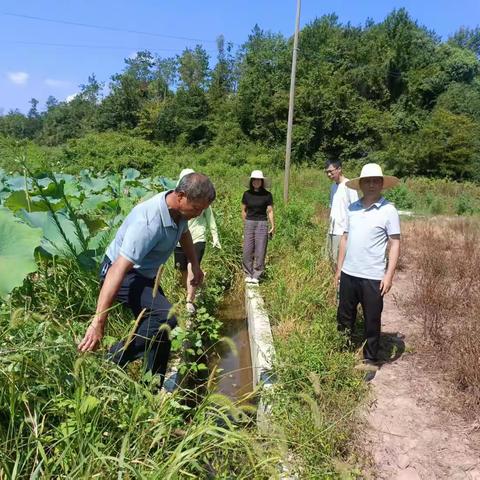 新丰街镇人大开展民生实事项目视察调研活动