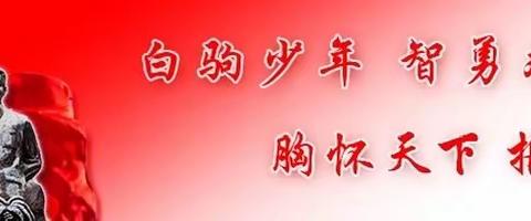 芳华四月，遇见成长--五四班2024年四月份总结