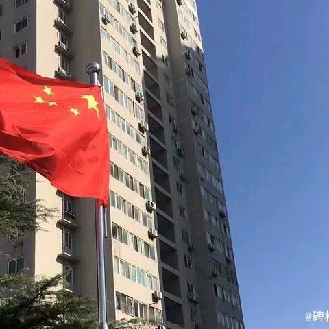 年少当有为！——东关南街小学25至26学年度少先大队干部选举活动