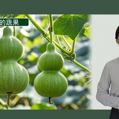 依托智慧平台 探寻葫芦的秘密——小学美术《可爱的葫芦》教学案例