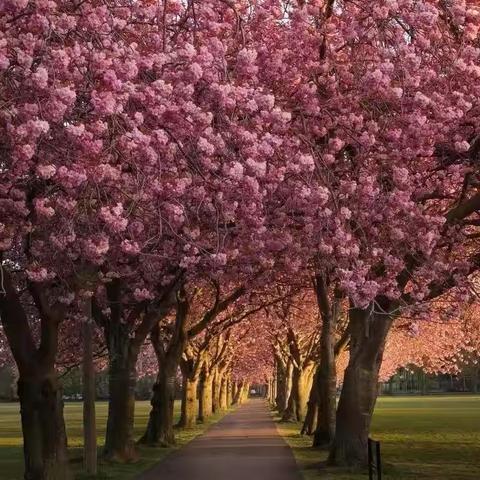 回眸追光路 蓄力再出发——4月份送教办工作综述系列之三十四