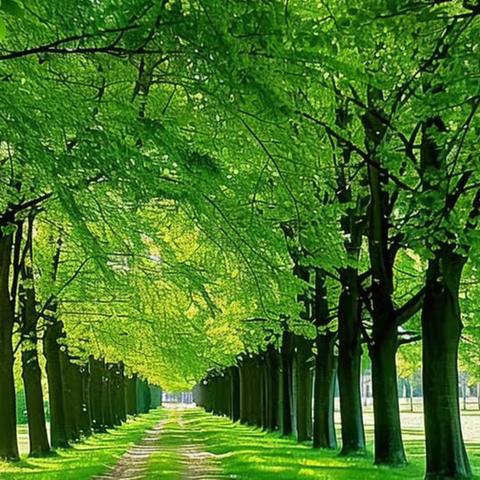 回眸追光路 蓄力再出发——5、6月份送教办工作综述系列之四十