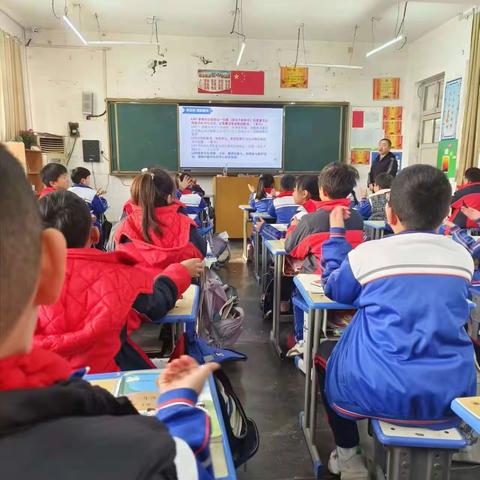 伯乐实验学校小学数学教研活动