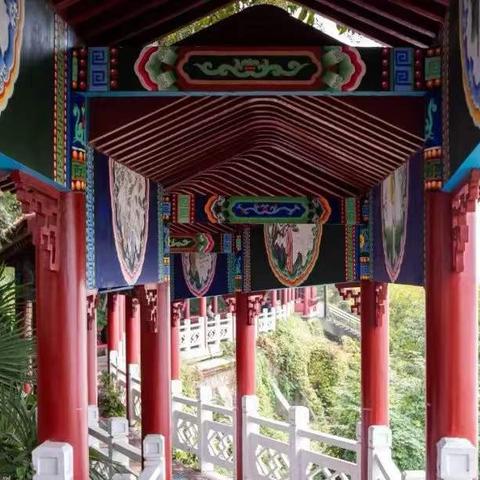 弋矶山医院泌尿外科住培基地欢迎您