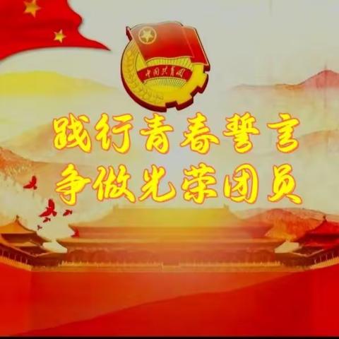 青春心向党，建功新时代——玉泉中学团校成立