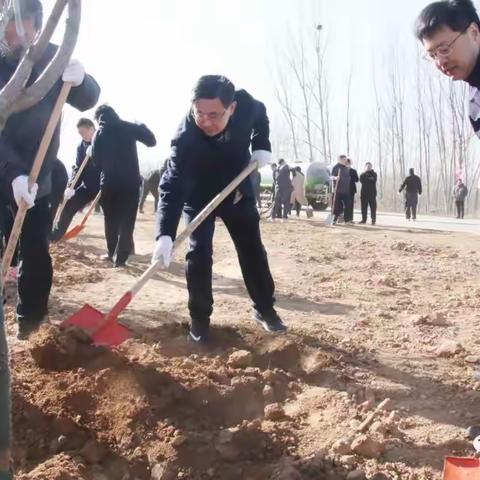 春风十里添新绿   义务植树正当时----2023年平阴县义务植树活动纪实