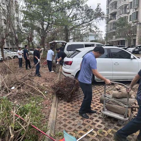 人人出份力，家园更美丽—— 北方万银小区党建指导员积极开展小区灾后重建工作