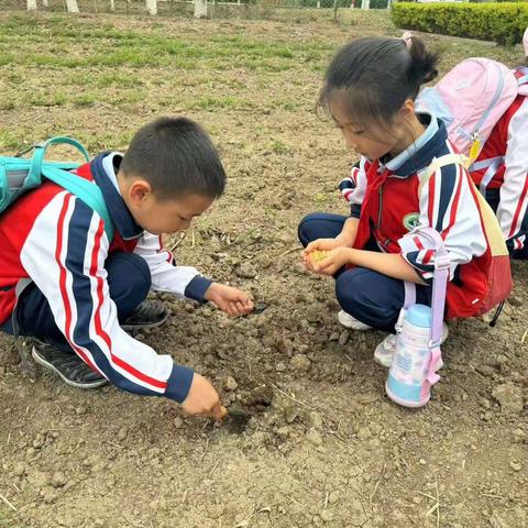 “探索自然奥秘 体验劳动乐趣”科大柳林小学春季研学实践活动纪实