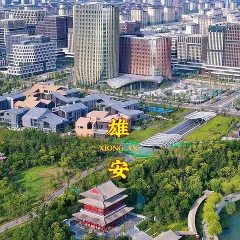 荷映雄安·双节盛绽  —雄安市场工商协同品牌宣传活动