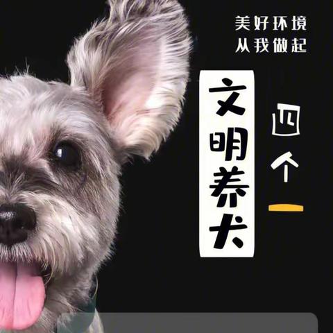 文明养犬 | 未央湖街道龙记玖玺社区开展“文明养犬在社区，遛狗牵绳我先行”宣传活动