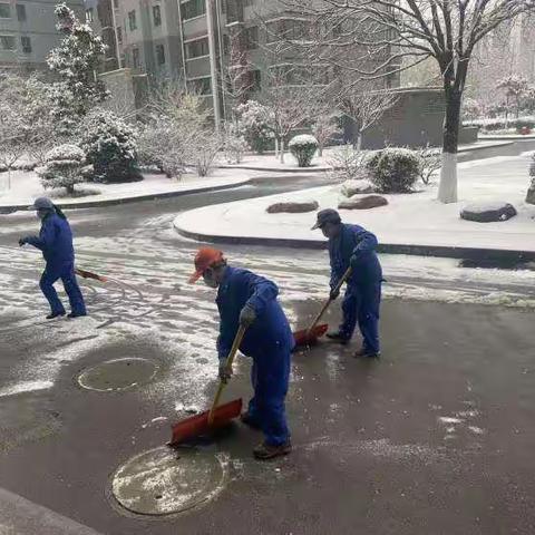 “铲雪我先行 除冰保畅通”活动—未央湖街道