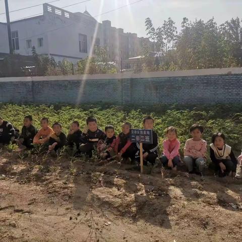 你好十月，我劳动   我快乐
