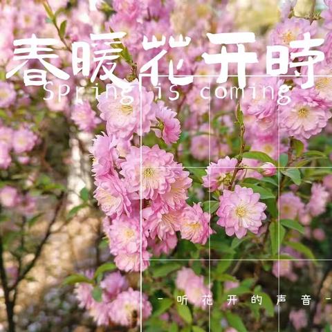 左岸丽都服务中心2023年3月简报