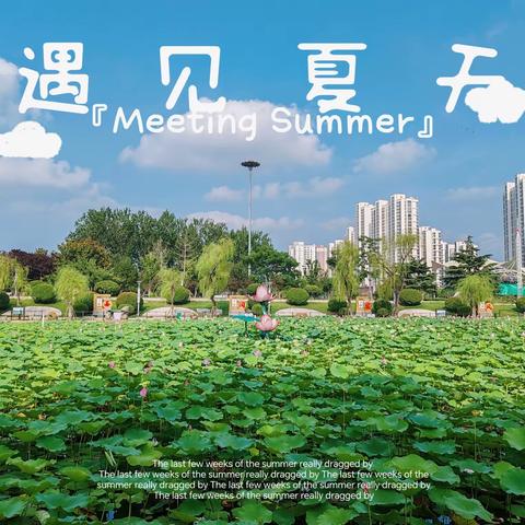 左岸丽都服务中心2023年7月简报