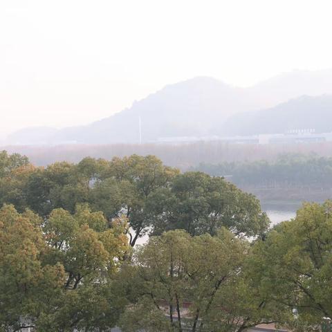 上午信江湿地公园打卡记