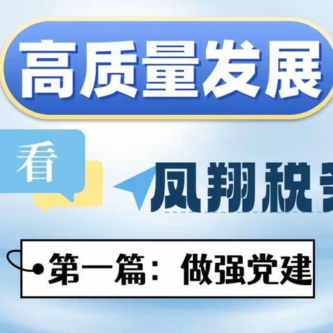 “高质量发展看凤翔税务”第一篇：做强党建