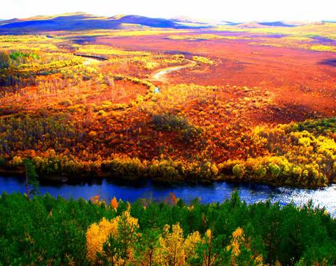 加大湿地监测力度 开展环境卫生整治工作