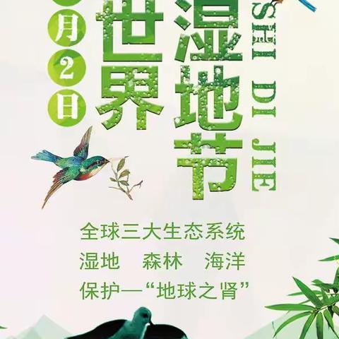 图强林业局举办2025年“世界湿地日”主题宣传活动