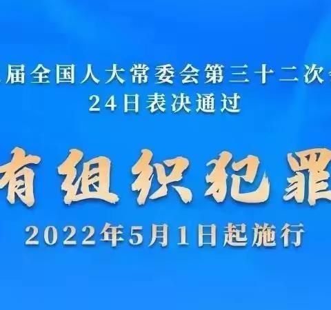 【普法宣传】深入了解《反有组织犯罪法》