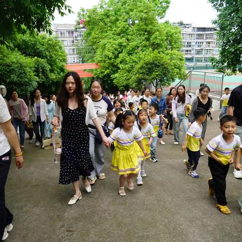 家园校三方联动，深度开展幼小衔接活动