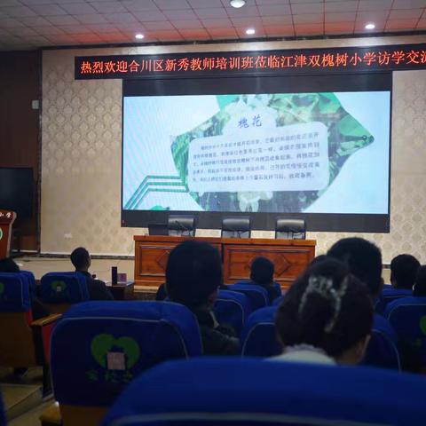合川新秀赴槐苑 教育精神薪火传——合川区新秀教师到双槐树小学开展访学交流活动