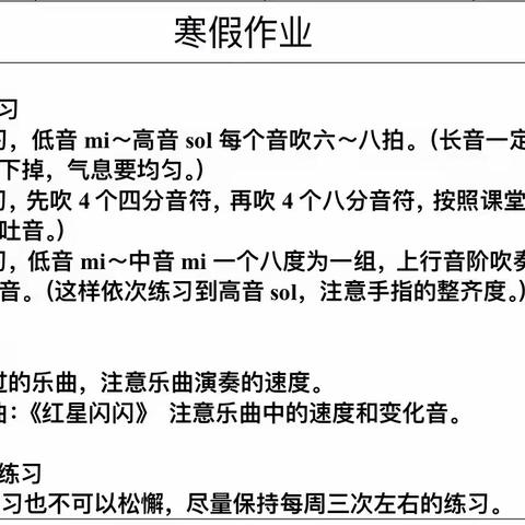 合肥市屯溪路小学长笛班暑假作业