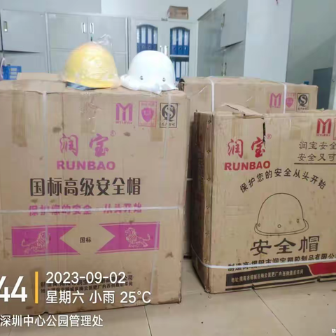 中心公园台风天气灾后恢复工作简报