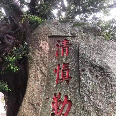 《积美斋诗影三集》       杨建良