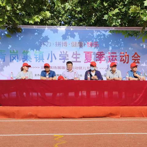 “努力 拼搏 健康 快乐”——青岗集学区小学生夏季运动会