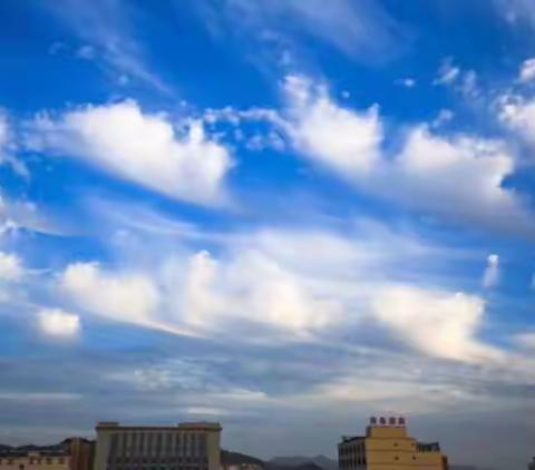 守护绿水青山，共建美丽陕州